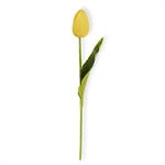 Stem - Tulip 10.5^, Yellow