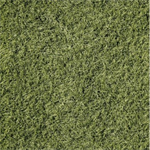 A.E. Nathan Co. - Farmall - Grass, Green