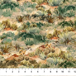 Northcott - The Great Outdoors - Desert Scene, Rust