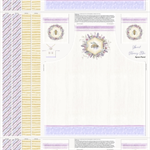 Lumin Fabrics - Sweet Honey Bee - 36^ Apron Panel