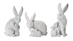 White Rabbit with Bunny, Assorted