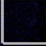 Timeless Treasures - Green Pastures - Swirl Wood Cut, Indigo