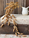 Hanging Cluster - Hops 32^, Beige