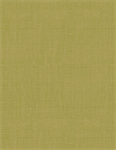 Wilmington Prints - Rosewood Lane - Canvas Texture, Green