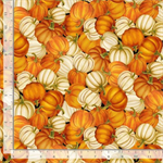 Timeless Treasures - Give Thanks - Pumpkins, Pumpkin