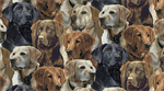 David Textiles - Foust Exclusives - Retrievers Allover, Multi