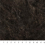 Northcott - Northwood: Naturescapes Bear - Texture, Black