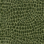 3 Wishes - Dinosaur Trails - Dino Scales, Green