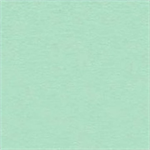 A.E. Nathan - Comfy Flannel - Solid, Mint