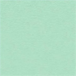 A.E. Nathan - Comfy Flannel - Solid, Mint