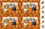 Northcott - Night Owl - 28^ Canvas Placemats Panel, Beige