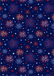 Benartex Traditions - Mid-Atlantic Shop Hop '25 - Fireworks, Navy