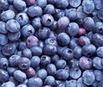 Elizabeth Studio - Berry Good - Blueberries, Blue