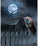 Hoffman California - Moodshade Watch - 34.5^ x 43^ Moonstruck Panel