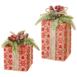 Wrapped Present - Snowflake Package, Large