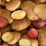 Elizabeth Studio - Food Festival - Potatoes, Red/Brown