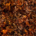 Quilting Treasures - Running With The Pack - Foliage Blender, Dark Brown