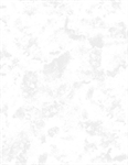 Wilmington Prints - 108^ Essentials Haze - White on White