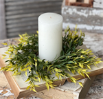 Candle Ring - Olivine Ash 11.5^