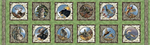 Quilting Treasures - Nature's Glory - Picture Patches, Leaf Green