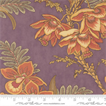 Moda - Wild Orchid - Large Floral, Moth