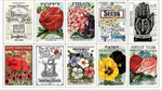 Riley Blake - Sewing Seeds III - 24^ x 43^ Seed Catalog Patch Panel, Multi