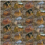 Sykel - Real Tree Cotton - Apex Scenic, Camo