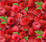 Elizabeth Studio - Berry Good - Raspberries, Red