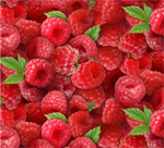 Elizabeth Studio - Berry Good - Raspberries, Red