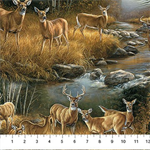 Northcott - Birchwood: Naturescapes - Scenic, Tan