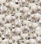 Quilting Treasures - Arctic Dreams - Packed Polar Bears, Cream