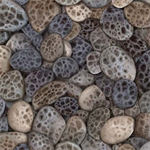 Michael Miller - Starlit Towers - Shoreline Dots, Clay