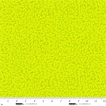 Studio E - Sweet Licorice - Leaf Scroll, Lime