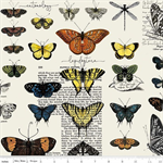 Riley Blake - Art Journal - Butterflies, Light Gray