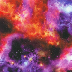 Robert Kaufman - Galaxy Cats - Stars, Sundance