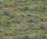 Elizabeth Studio - Landscape Medley - Prairie, Green