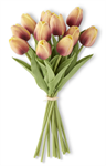 Bouquet - Tulip 13.5^, Orange/Yellow