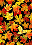 Oasis Fabrics - Change of Seasons - Spaced Leaves, Black