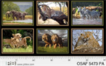 P & B Textiles - On Safari - 24^ African Animal Panel, Multi