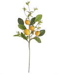 Stem - Lemon and Foliage 28^