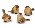Sitting Wren Friends