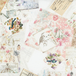 Quilting Treasures - Birdsong - Bird Collage, White