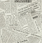 Windham Fabrics - Story - Newsprint, Spackle
