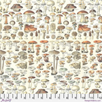 Free Spirit - Tim Holtz - Palette Curated - Toadstools, Orange