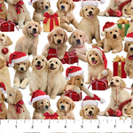 Northcott - Golden Christmas - Christmas Puppies, White