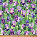 Hoffman California - Flower Shoppe - Iris, Viola