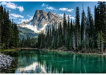 Hoffman California - Call of The Wild - 29.25^ Landscape, Dusty Teal