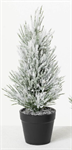 Potted Tree - Flocked Pine 11^