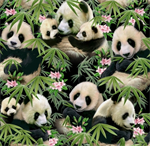 Elizabeth Studio - Panda Bears - Pandas w/ Pink Blossoms, Black