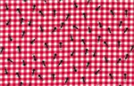 Timeless Treasures - Fruit - Ants on Gingham, Pink
